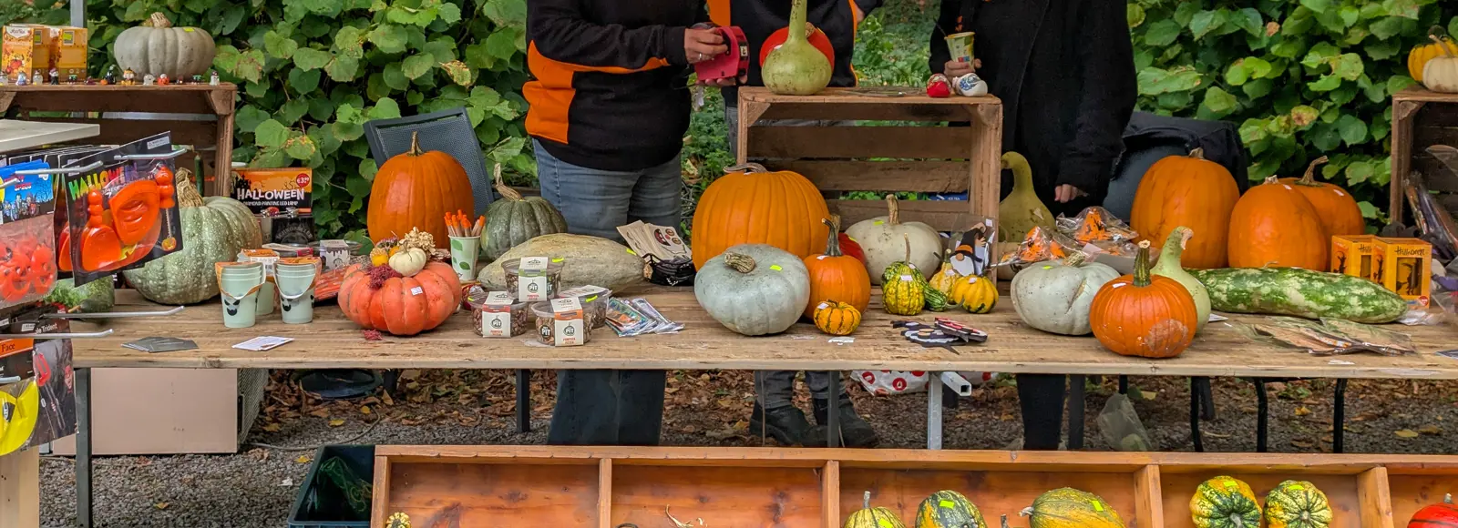 PXL_20250921_091019129 geknipt.jpg