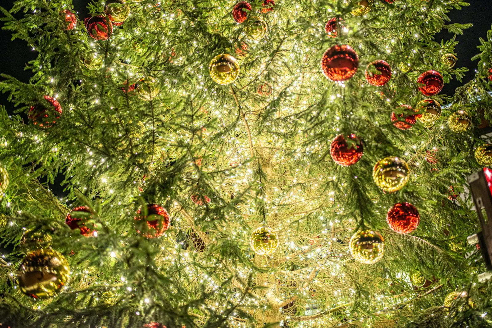 Kerst in Elshout.jpg