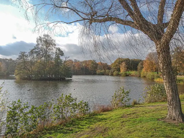 het-lido-waalwijk-1410773371_3432431184.jpeg