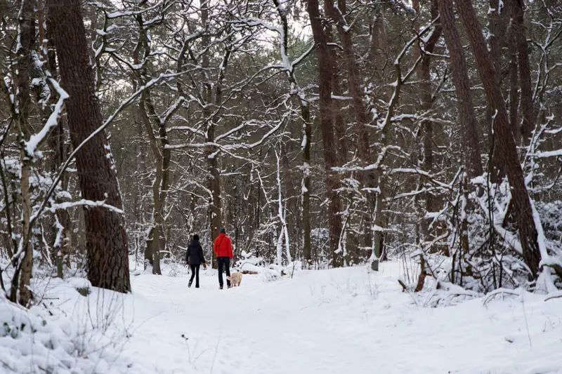 wandelen in de sneeuw.jpg