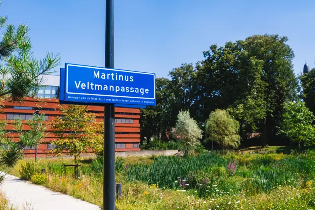 mbjp_rbtdelangstraat_martinus_veltmanpassage8.jpg