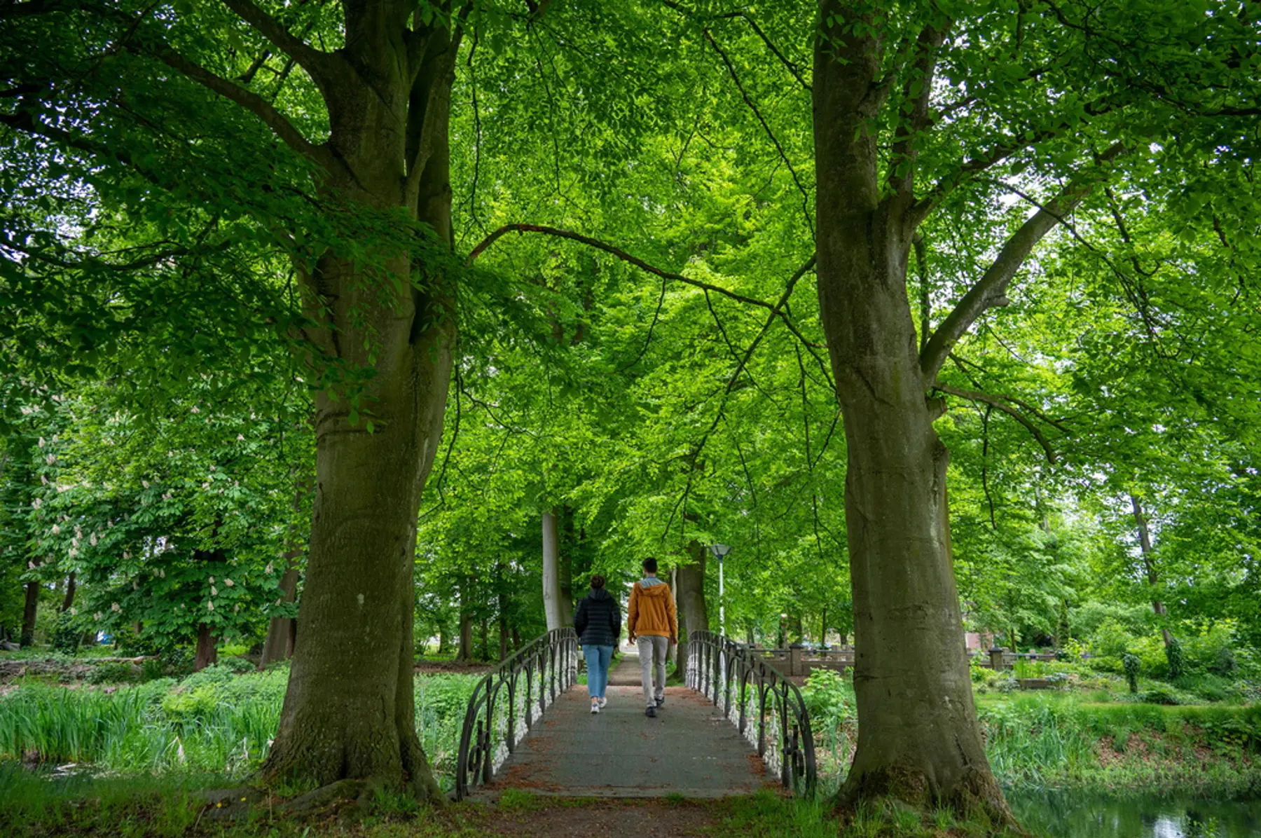 Marienkroon tuin 03.jpg