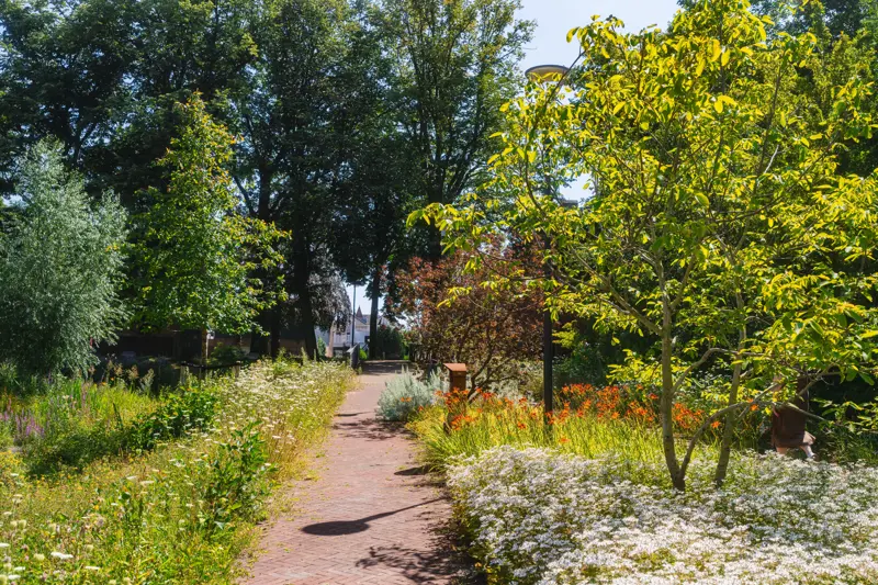 Natuur richting centrum Waalwijk