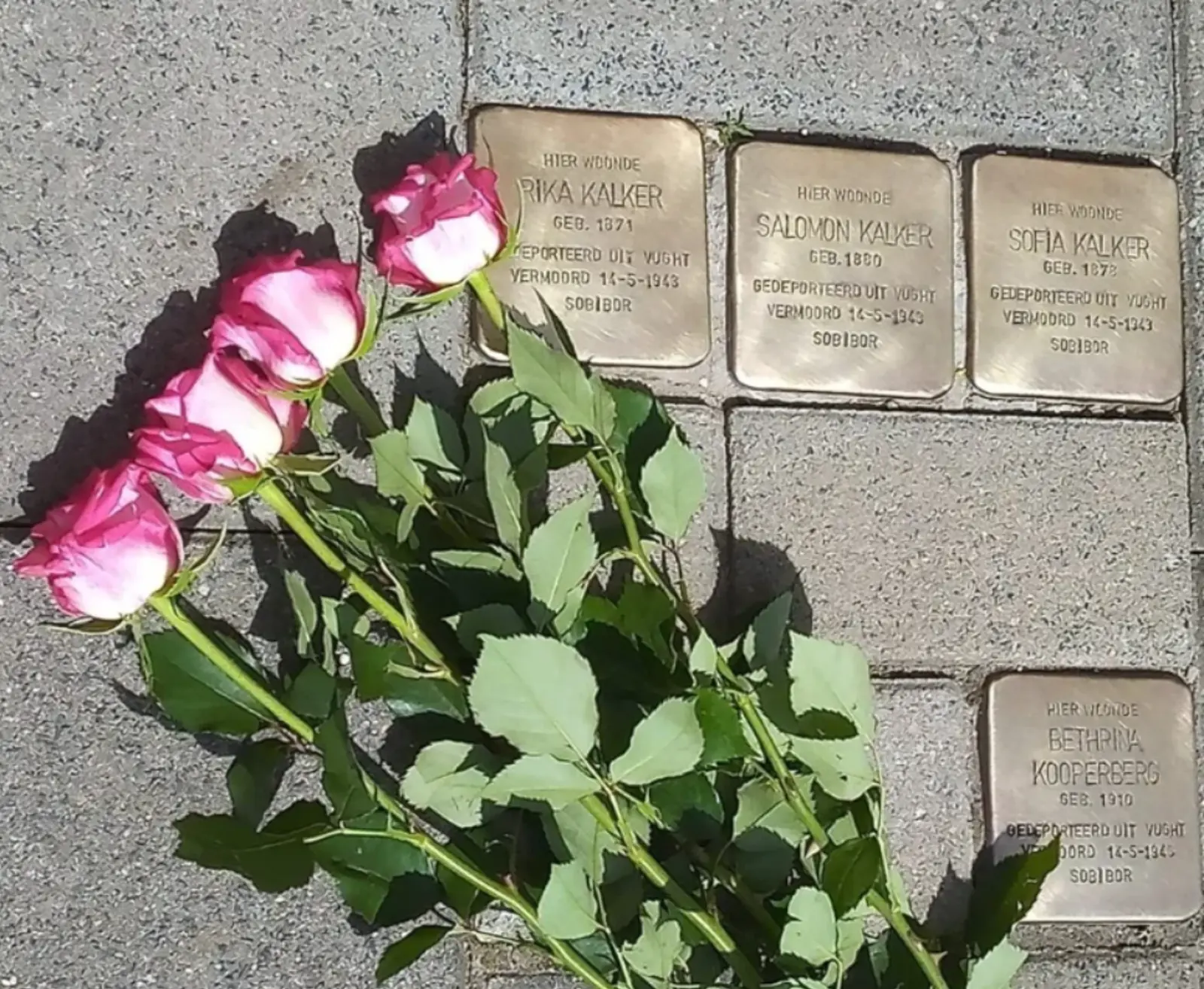 Stolpersteine GTB.png