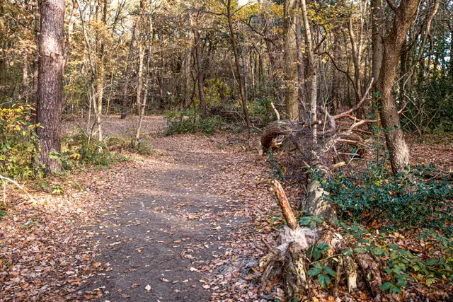 Natuurpoort Van Loon 3