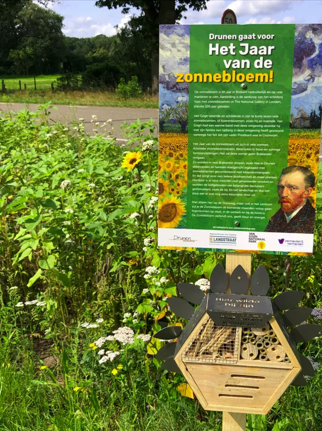 Het Jaar van de Zonnebloem