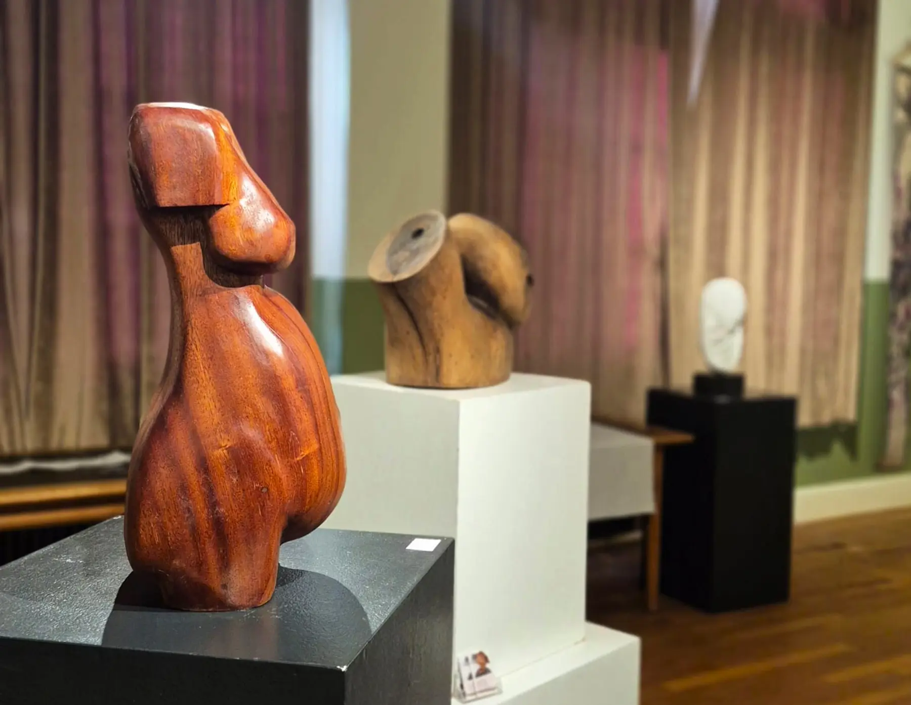 kunst Huis van Waalwijk.jpeg