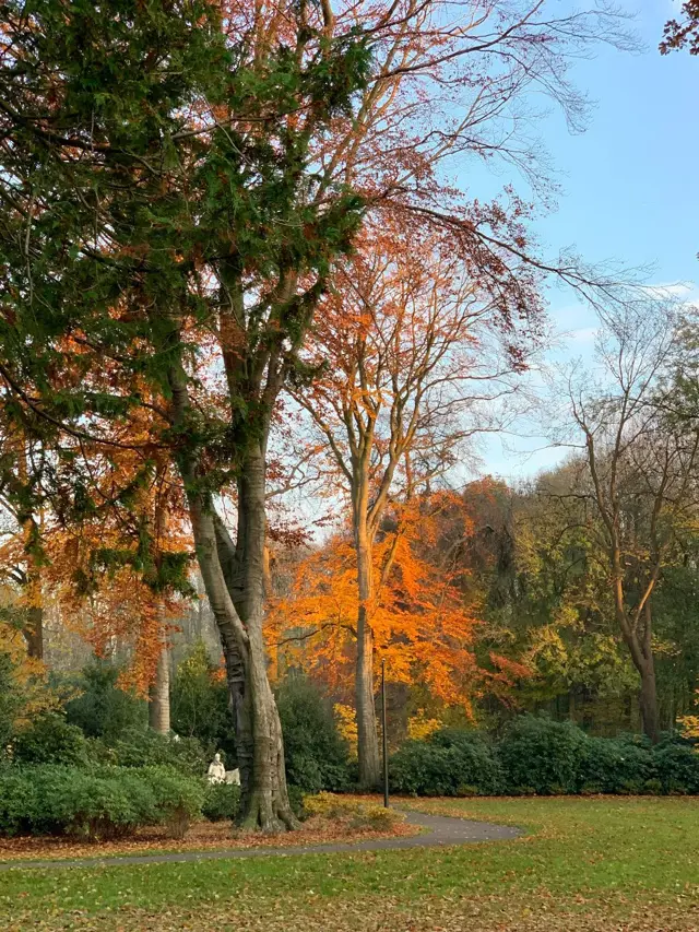 Peerke Donders Park
