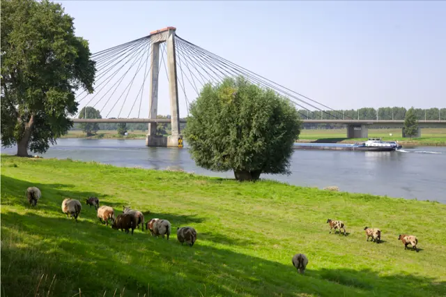 ornamenten_heusdense_brug.png