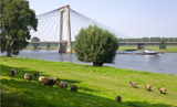 Ornamenten Heusdense brug