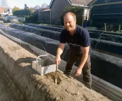 De Aspergeschuur.jpg