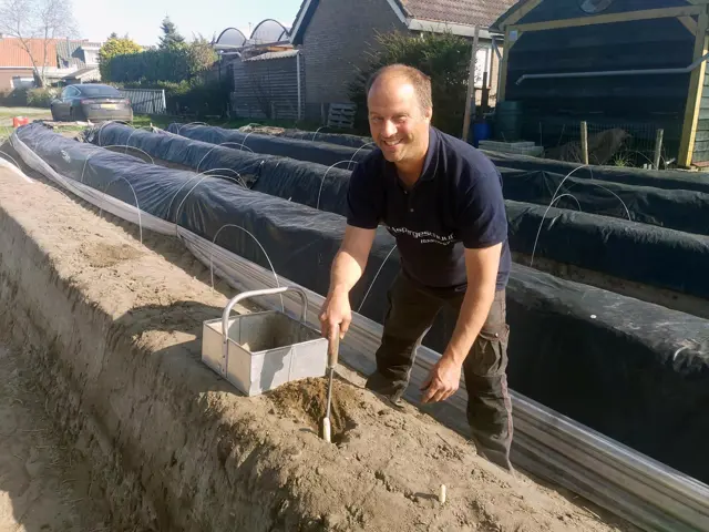 De Aspergeschuur.jpg