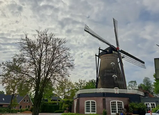 Pag36 KH Rondje Sprang Molen.jpg