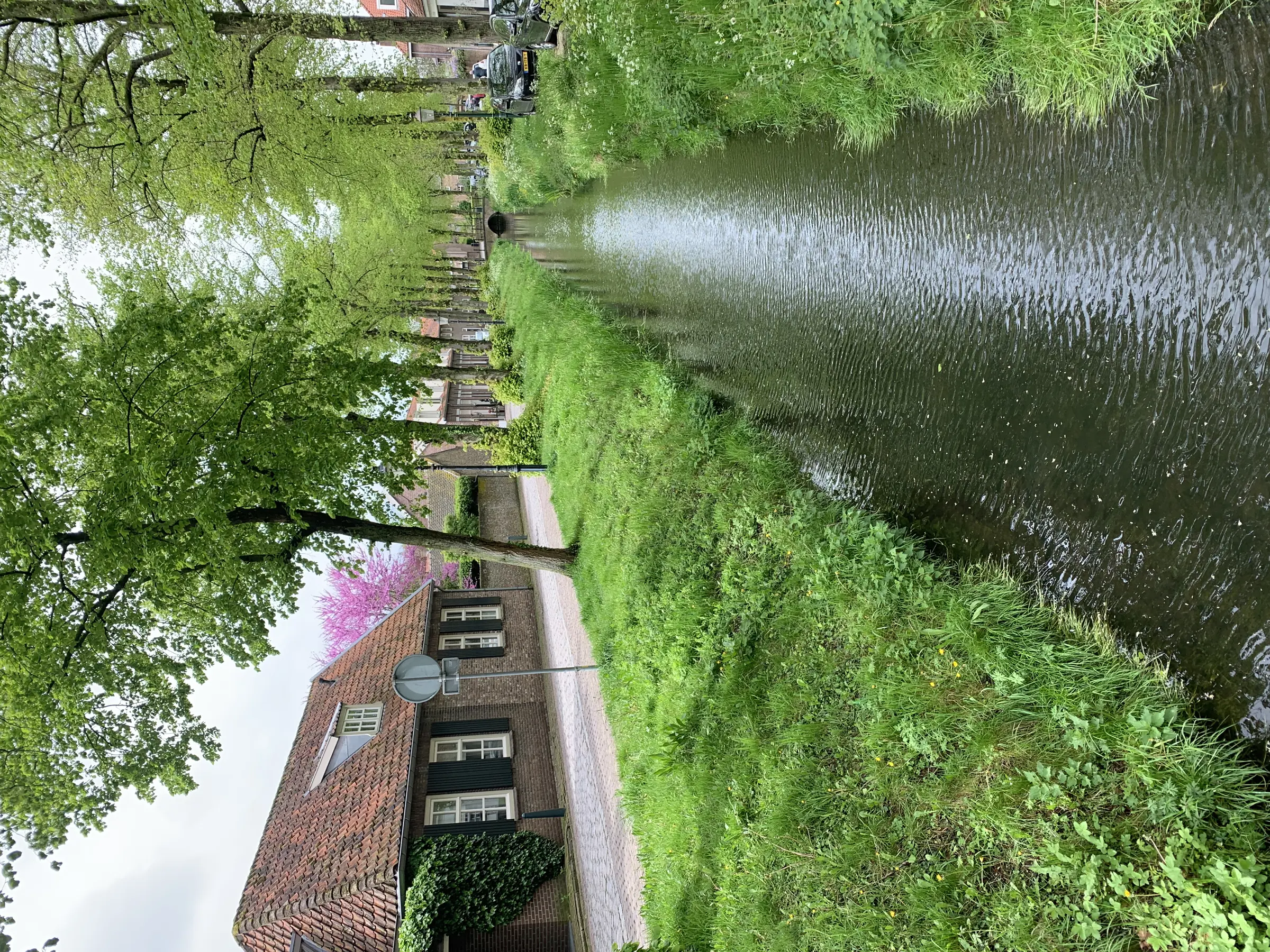 image00006.jpeg