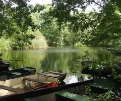 Haarsteegse-Wiel.jpg