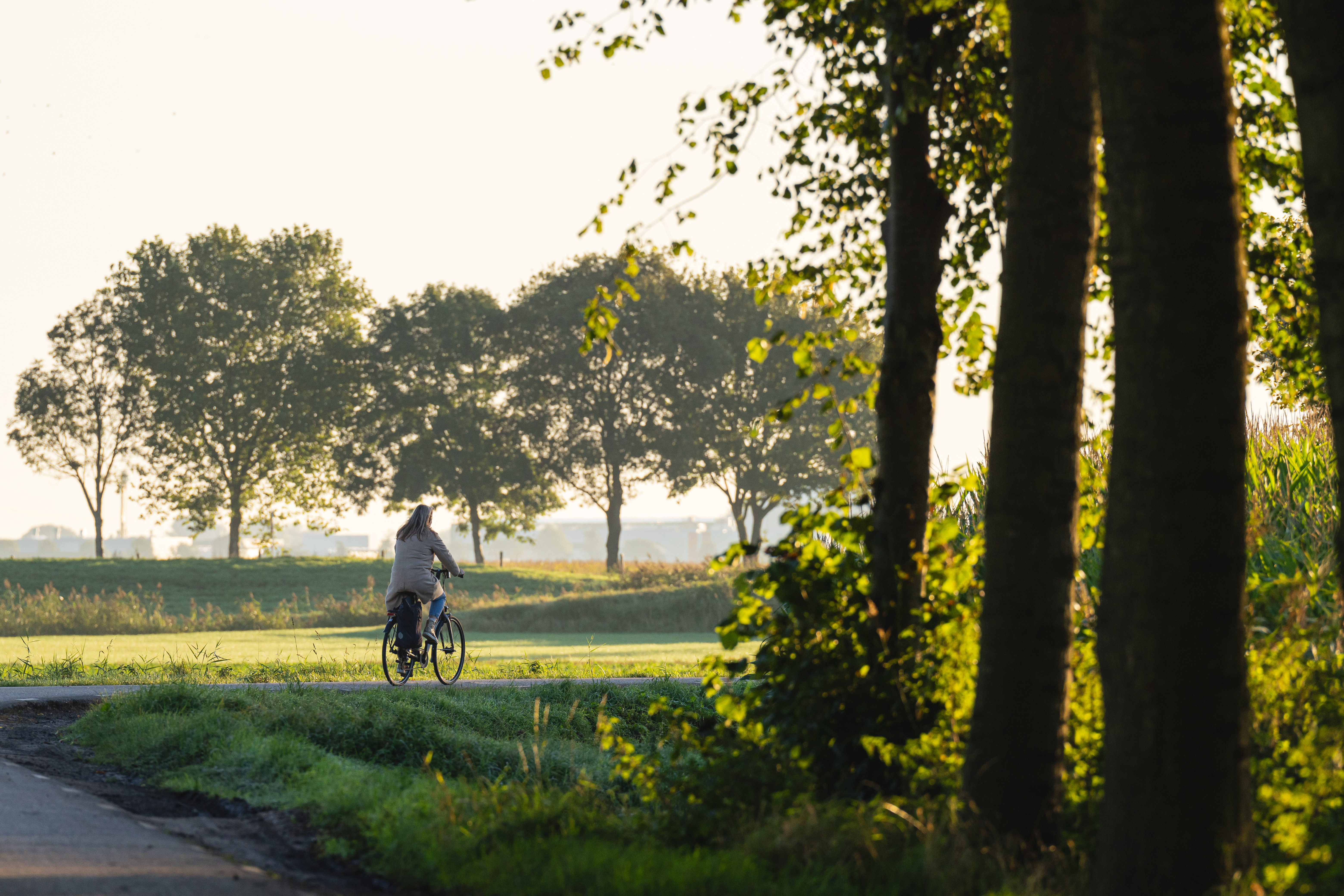 Fietsen in Raamsdonk