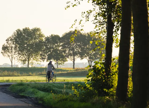 Fietsen in Raamsdonk