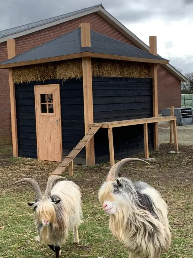 Educatieve boerderij Pauwelshoeve 2
