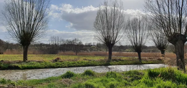 Loon-op-Zand-De-Brand-2.jpg