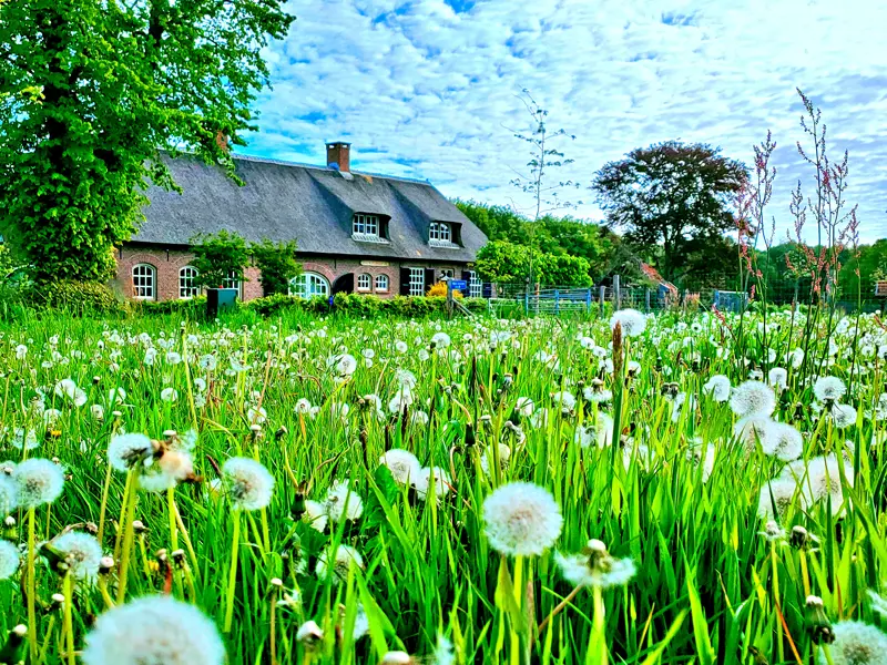 Pag.26 - Route 08. - LoZ Pauwels Hoeve zonder logo.jpg