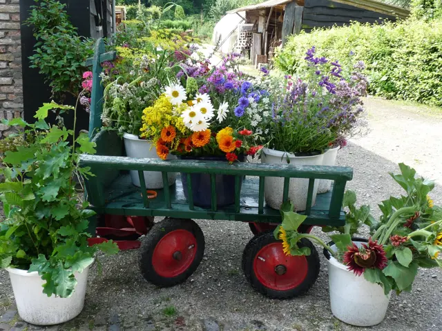 Bloemenpluktuin  Bed & Breakfast (B&B) De Langendam
