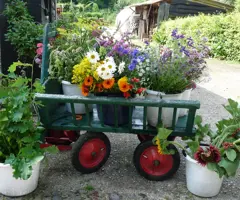 Bloemenpluktuin  Bed & Breakfast (B&B) De Langendam