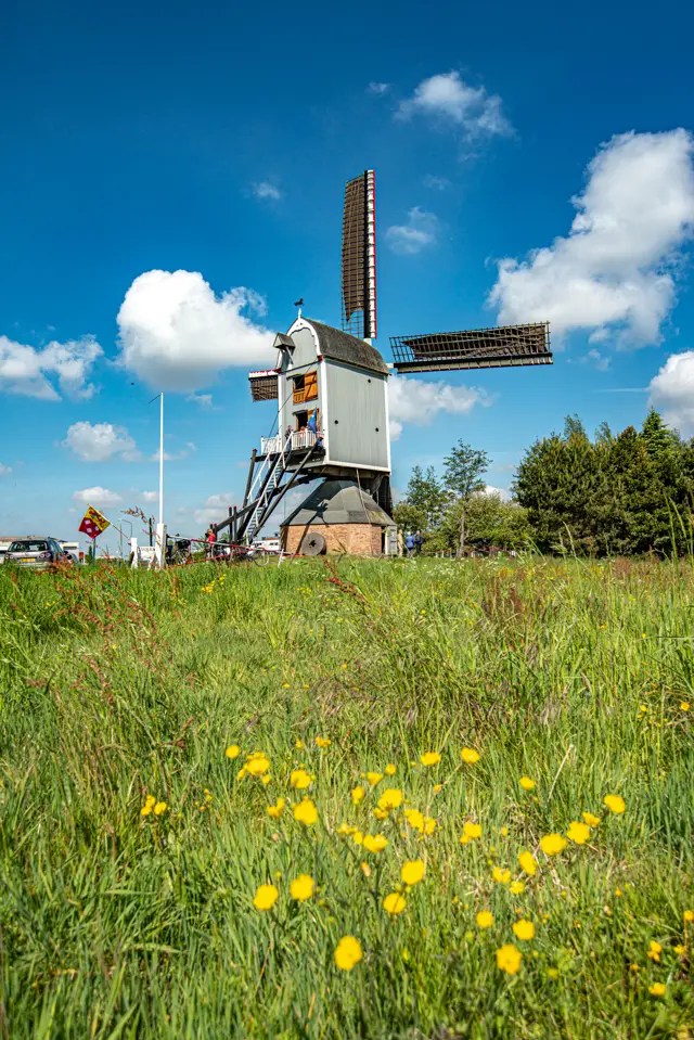Molen Dye Sprancke 3