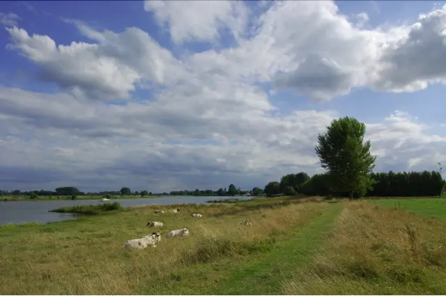 Scherm­afbeelding 2025-04-22 om 10.12.38.png