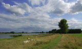 Het Wijkerzand in Wijk en Aalburg