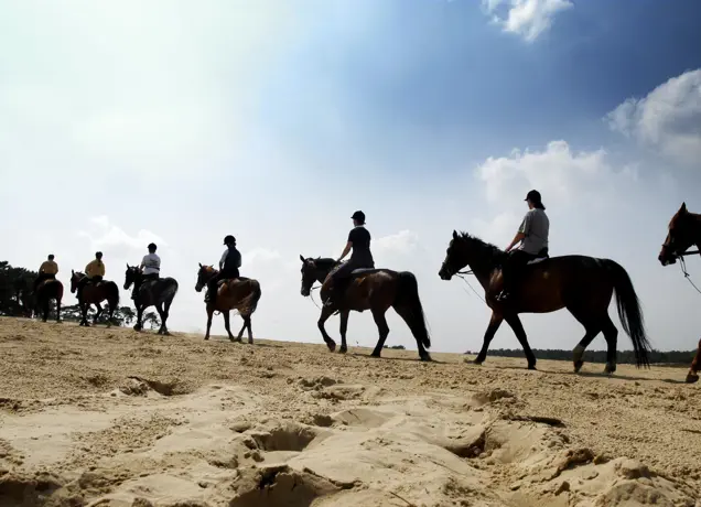 25. De-Loonse-en-Drunense-Duinen-paardrijden.jpg