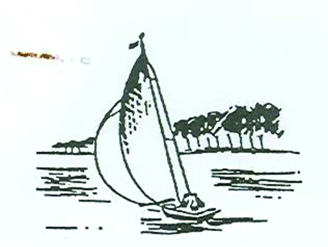 Jachthaven WSV De Donge.jpg