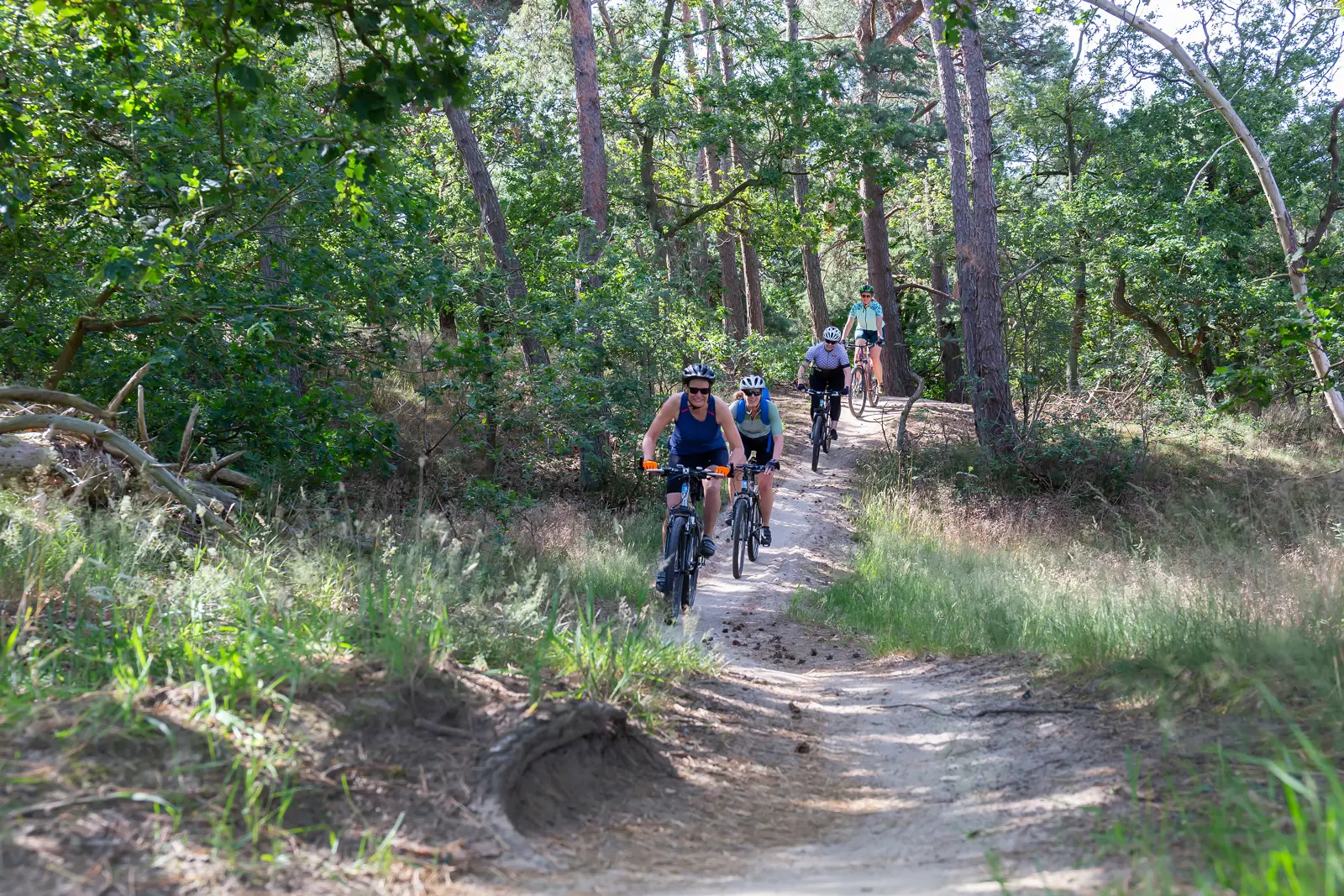 Mountainbike Loonse en Drunense Duinen 2