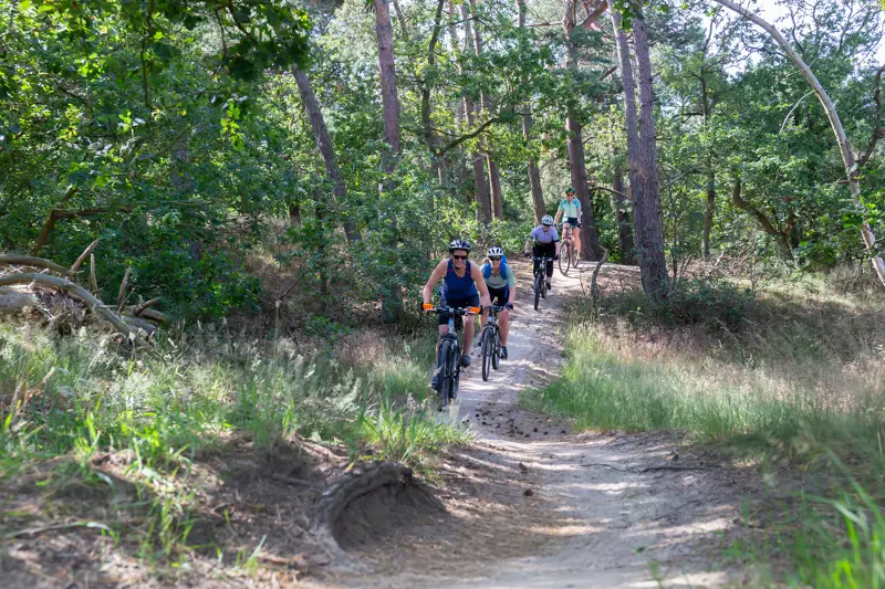 Mountainbike Loonse en Drunense Duinen 2