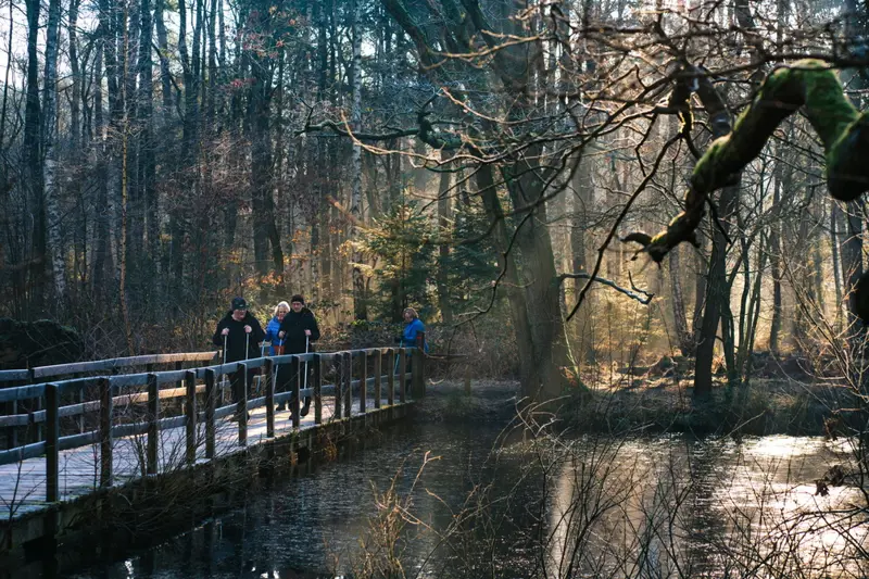 Galgenwiel in De Langstraat.jpg