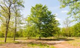 Natuurbegraafplaats Huis ter Heide