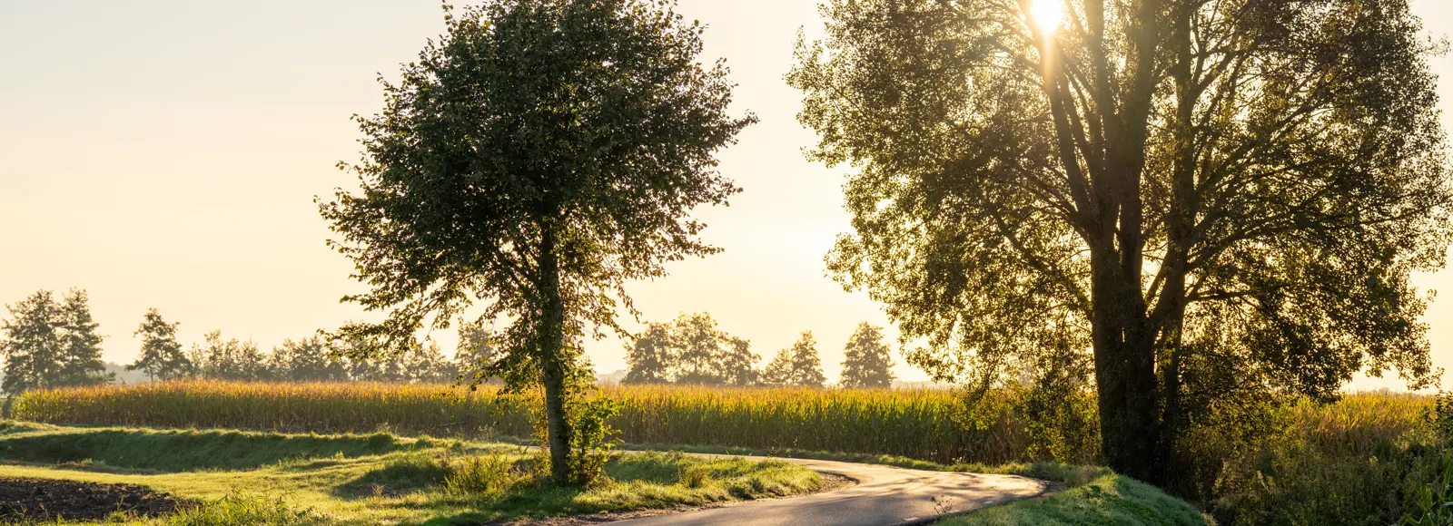 Ondergaande zon Raamsdonk