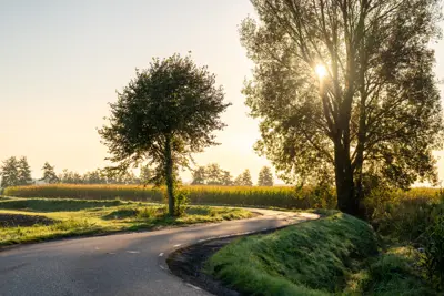 Ondergaande zon Raamsdonk