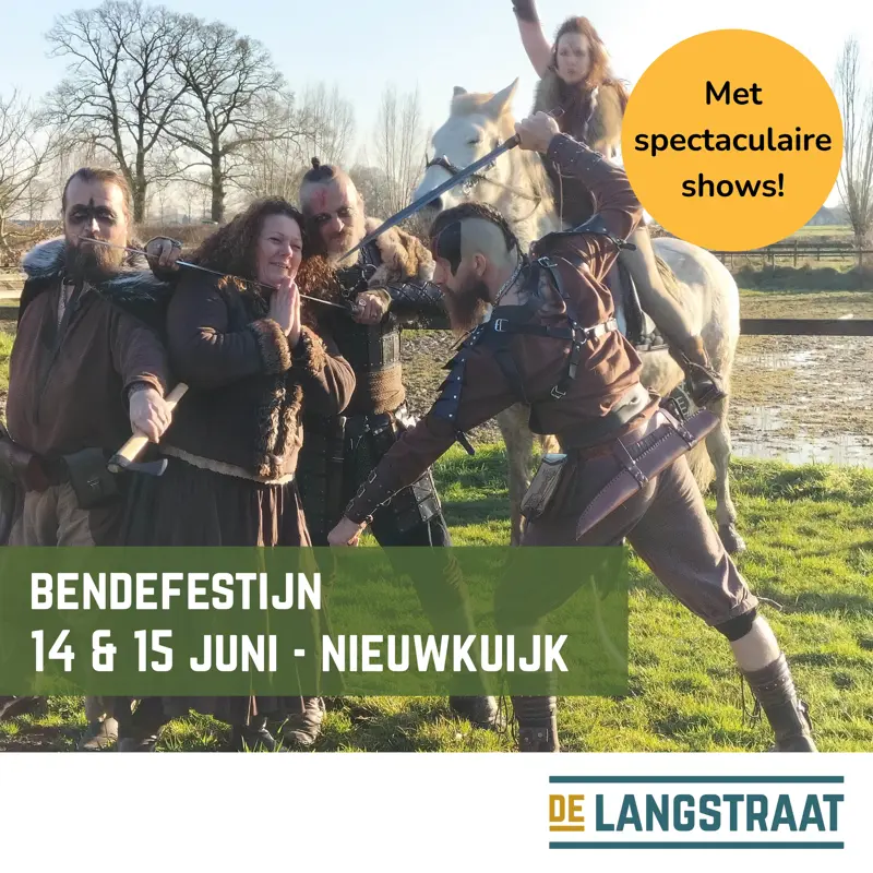 20250605 Bendefestijn shows.jpg