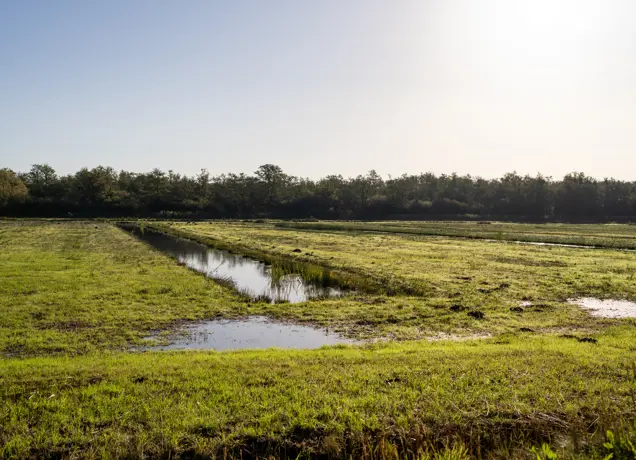 Landschap Raamsdonk