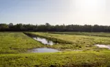 Landschap Raamsdonk