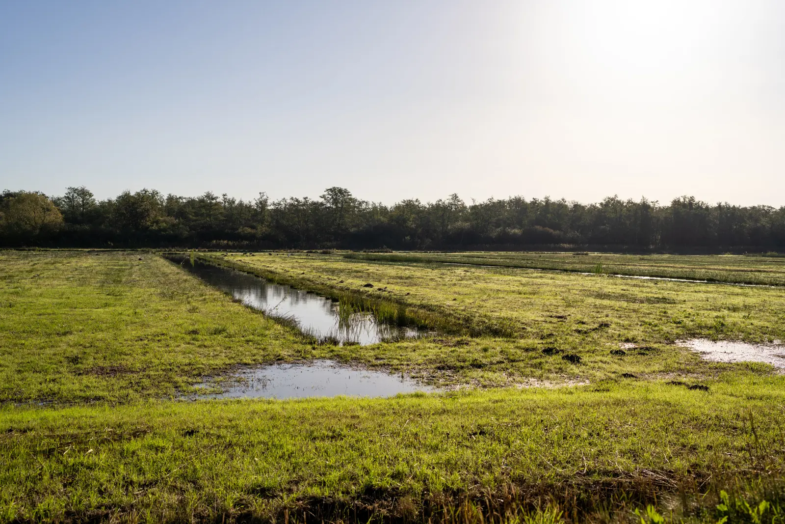Landschap Raamsdonk