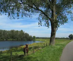 Elshoutse Wielen.JPG