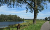 Natuurgebied Elshoutse Wielen