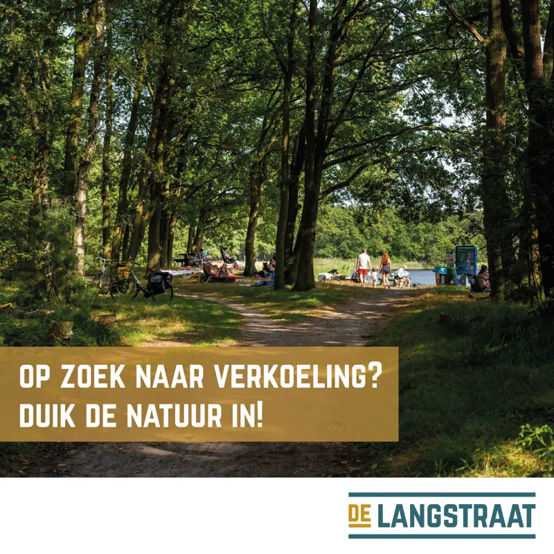 20250630 verkoeling.jpg