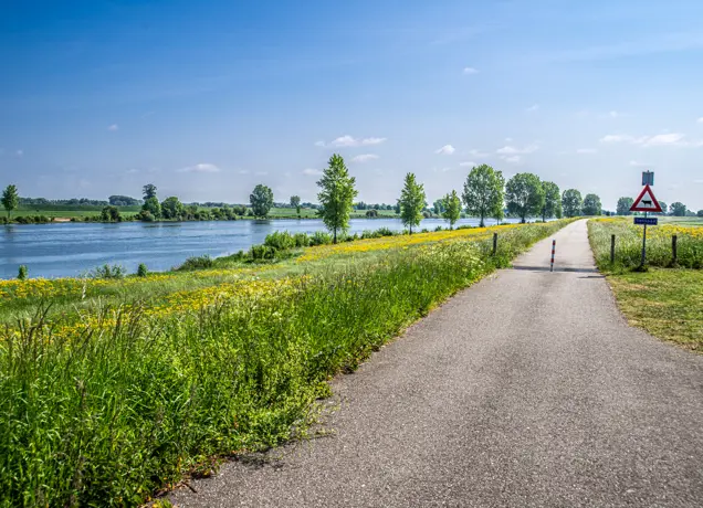 Bergsche Maas bij Hedikhuizen