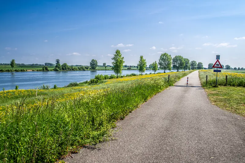Bergsche Maas bij Hedikhuizen