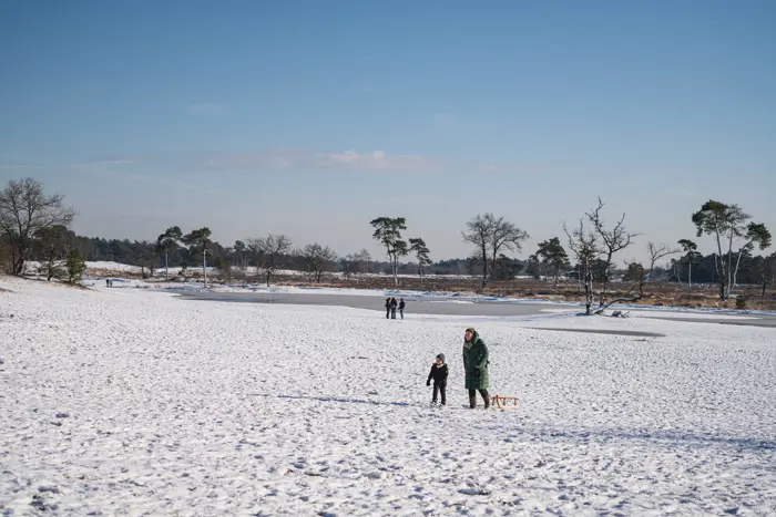 sneeuw in de loonse en drunense duinen2.jpg