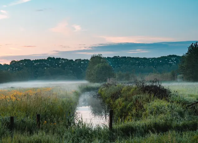 Ochtend in de mist Sprang-Capelle