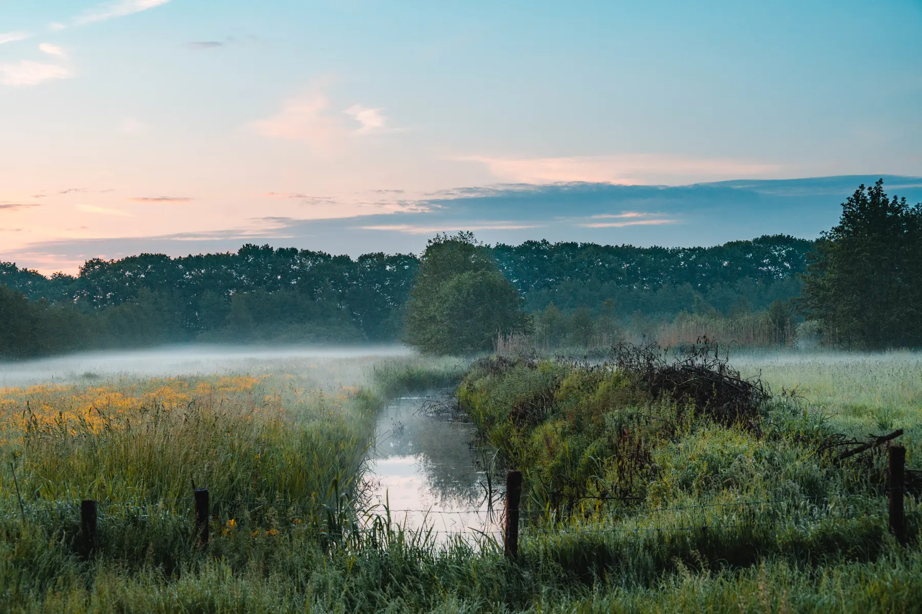 Ochtend in de mist Sprang-Capelle