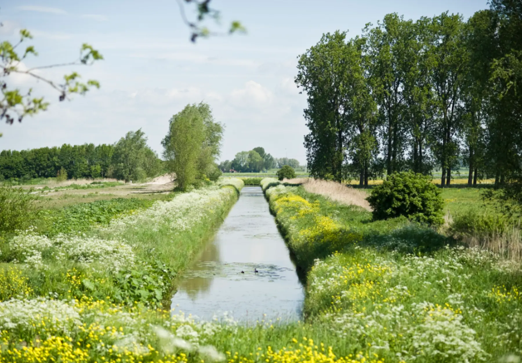 Schermafbeelding 2025-04-10 155122.png